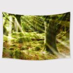 TAPESTRY BUNDLE 16 PACK. CLEARANCE SALE, 50% OFF! - Image 60