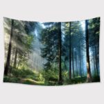 TAPESTRY BUNDLE 16 PACK. CLEARANCE SALE, 50% OFF! - Image 55
