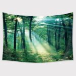 TAPESTRY BUNDLE 16 PACK. CLEARANCE SALE, 50% OFF! - Image 59