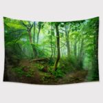 TAPESTRY BUNDLE 16 PACK. CLEARANCE SALE, 50% OFF! - Image 63