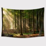 TAPESTRY BUNDLE 16 PACK. CLEARANCE SALE, 50% OFF! - Image 48