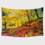 TAPESTRY BUNDLE 16 PACK. CLEARANCE SALE, 50% OFF! - Image 67
