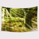TAPESTRY BUNDLE 16 PACK. CLEARANCE SALE, 50% OFF! - Image 12