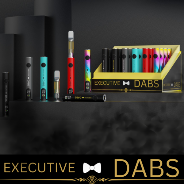 DISPLAY OF 24 EXECUTIVE DABS BATTERIES WITH CHARGERS