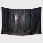 TAPESTRY BUNDLE 16 PACK. CLEARANCE SALE, 50% OFF! - Image 53