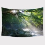 TAPESTRY BUNDLE 16 PACK. CLEARANCE SALE, 50% OFF! - Image 62