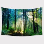 TAPESTRY BUNDLE 16 PACK. CLEARANCE SALE, 50% OFF! - Image 64