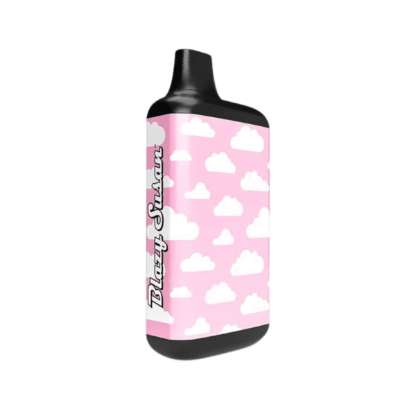 DISPLAY OF 6 BLAZY SUSAN BLAZY SECRET 510 BATTERIES - Image 6