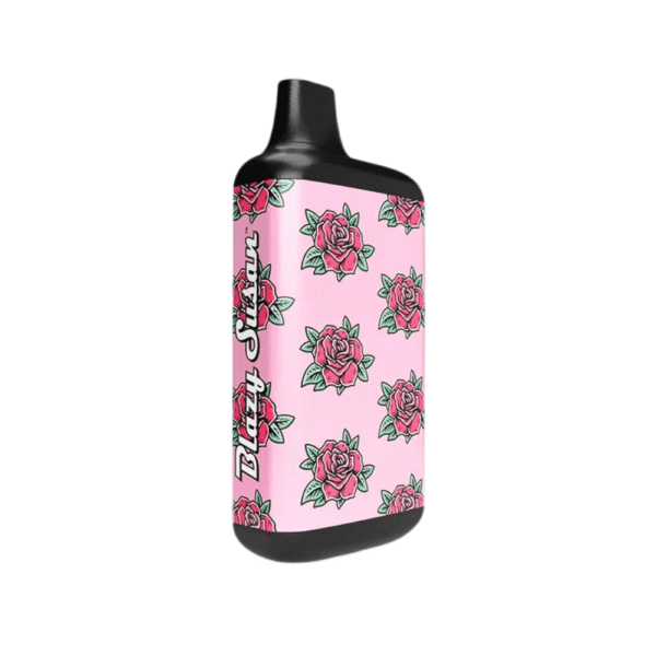 DISPLAY OF 6 BLAZY SUSAN BLAZY SECRET 510 BATTERIES - Image 8