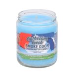 SMOKE ODOR EXTERMINATOR CANDLE, 13 OZ, CLOTHESLINE FRESH