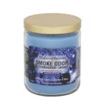 SMOKE ODOR EXTERMINATOR CANDLE, 13 OZ, BLUEBERRY DREAM