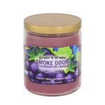 SMOKE ODOR EXTERMINATOR CANDLE, 13 OZ, GROOV'N GRAPE
