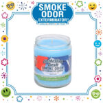 SMOKE ODOR EXTERMINATOR CANDLE, 13 OZ, CLOTHESLINE FRESH