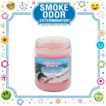 SMOKE ODOR EXTERMINATOR CANDLE, 13 OZ, HIPPIE LOVE (Copy)