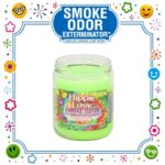SMOKE ODOR EXTERMINATOR CANDLE, 13 OZ, HIPPIE LOVE