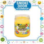 SMOKE ODOR EXTERMINATOR CANDLE, 13 OZ, FLOWER POWER