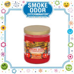 SMOKE ODOR EXTERMINATOR CANDLE, 13 OZ, BLUE SERENITY