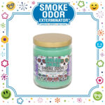 SMOKE ODOR EXTERMINATOR CANDLE, 13 OZ, SUGAR SKULL