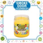 SMOKE ODOR EXTERMINATOR CANDLE, 13 OZ, HAPPY DAZE
