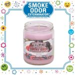SMOKE ODOR EXTERMINATOR CANDLE, 13 OZ, MULBERRY