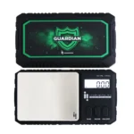 INFYNITI 100 GRAM DOUBLE DIGIT GUARDIAN SCALE
