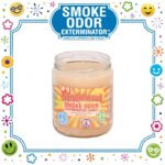 SMOKE ODOR EXTERMINATOR CANDLE, 13 OZ, SANDALWOOD