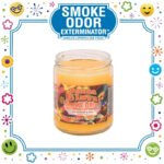 SMOKE ODOR EXTERMINATOR CANDLE, 13 OZ, PEACE & LOVE
