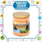 SMOKE ODOR EXTERMINATOR CANDLE, 13 OZ, PEACE RIVER