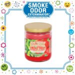 SMOKE ODOR EXTERMINATOR CANDLE, 13 OZ, KIWI TWISTED STRAWBERRY