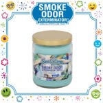 SMOKE ODOR EXTERMINATOR CANDLE, 13 OZ, SEA GLASS