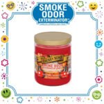 SMOKE ODOR EXTERMINATOR CANDLE, 13 OZ, CHERRY BOMB