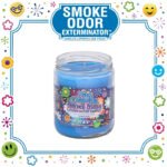SMOKE ODOR EXTERMINATOR CANDLE, 13 OZ, NAG CHAMPA