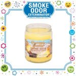 SMOKE ODOR EXTERMINATOR CANDLE, 13 OZ, PINEAPPLE COCONUT