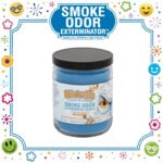 SMOKE ODOR EXTERMINATOR CANDLE, 13 OZ, WINTRELLE