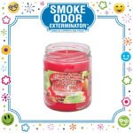 SMOKE ODOR EXTERMINATOR CANDLE, 13 OZ, CINNAMON APPLE