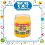 SMOKE ODOR EXTERMINATOR CANDLE, 13 OZ, RASTA LOVE