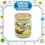 SMOKE ODOR EXTERMINATOR CANDLE, 13 OZ, PEAR BLOSSOM