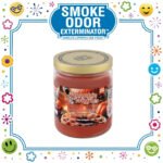SMOKE ODOR EXTERMINATOR CANDLE, 13 OZ, PUMPKIN & WAFFLES