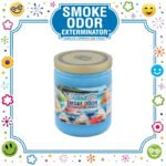 SMOKE ODOR EXTERMINATOR CANDLE, 13 OZ, SHAVE ICE
