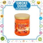 SMOKE ODOR EXTERMINATOR CANDLE, 13 OZ, PUMPKIN SPICE