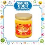SMOKE ODOR EXTERMINATOR CANDLE, 13 OZ, FALL N LEAVES